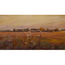 Thistles in the field - CH1261