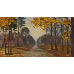 Droga w lesie. Ujęcie 090 -...