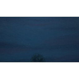 Boryna klęka - CH1596